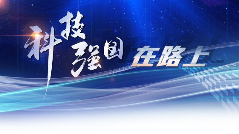 金融大数据分析：揭秘厂家直销背后的技术奥秘