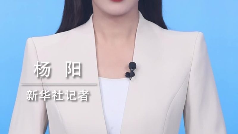 深入解析：低代码平台功能二次开发之道